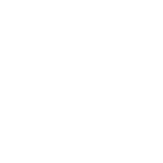 Escudo Alzira FS