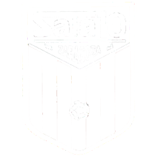 Escudo Wanapix