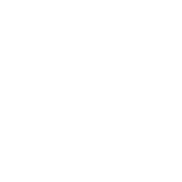Escudo Almagro FSF FEM