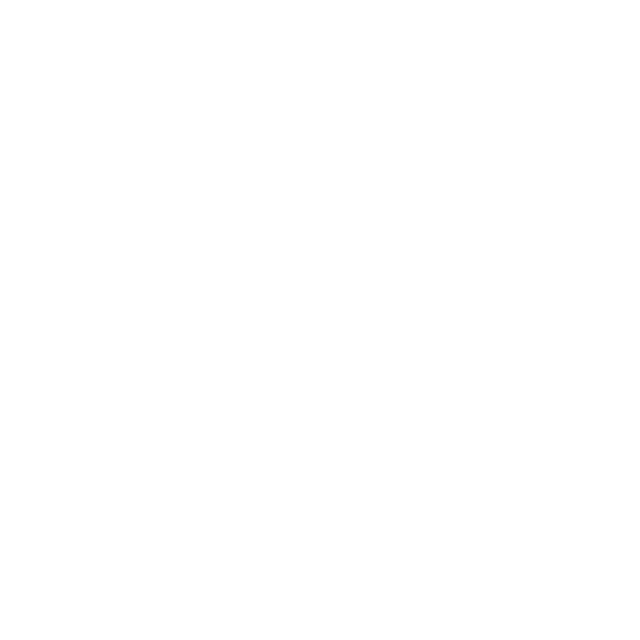 Escudo Palma Futsal