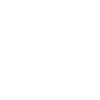 Escudo Sala 5 Martorell