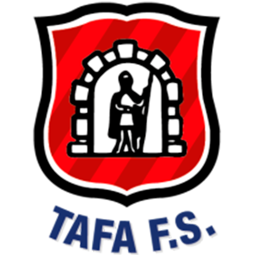 Vulcanizados Ruiz Tafa FS