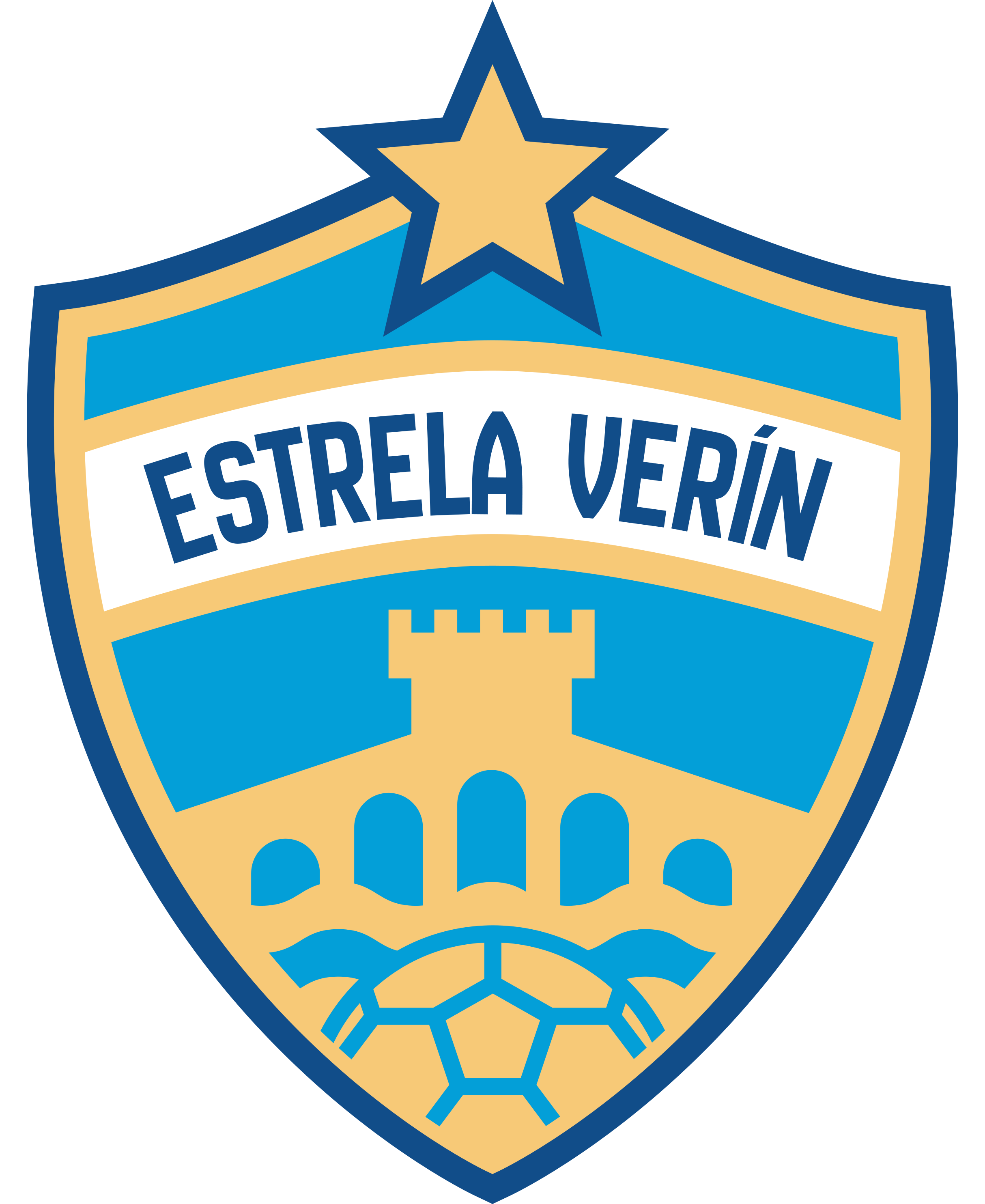 Escudo Estrela Revoltosa Verín FSF