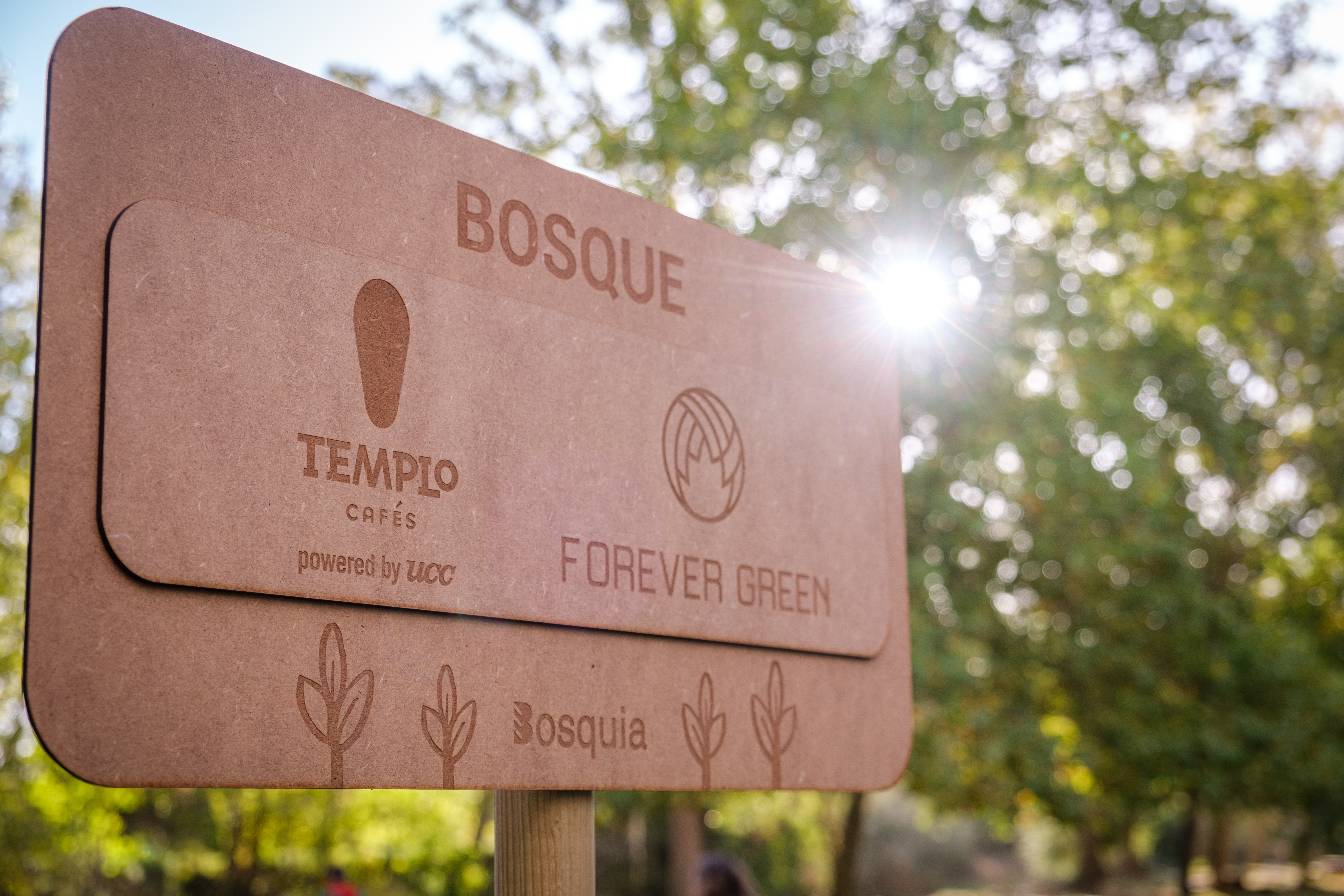 Creación del Bosque Templo Cafés - Forever Green en La Rioja