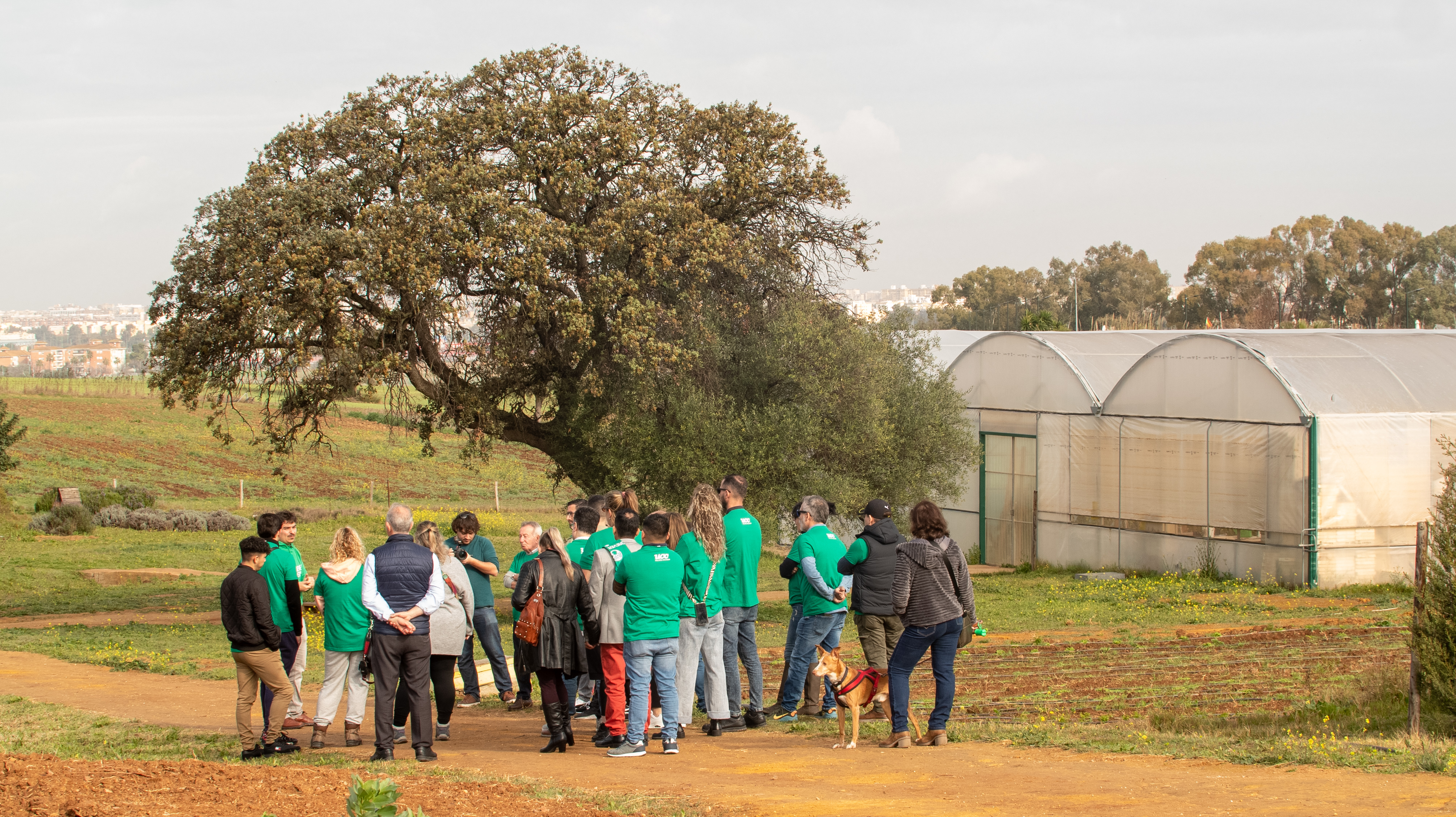 Jornada de reforestación y acercamiento a la agricultura ecológica junto a Templo Cafés en el ecohuerto del Real Betis
